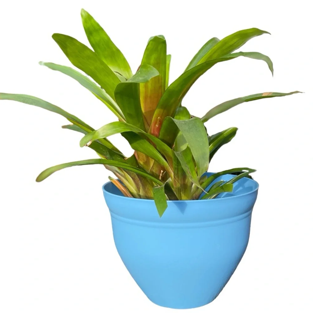 🫐 NWT Periwinkle Blue 10” Planter Flower Pot